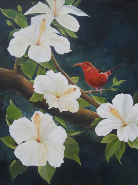 Red Hawaiian Bird