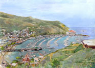 Catalina View