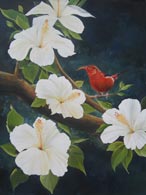 Red Hawaiian Bird