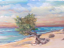 Aruba