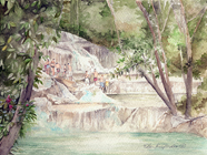Dunn's Falls